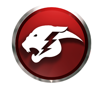 Cheetah lightning bolt logo